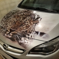 opel_1_20150217_1083001852