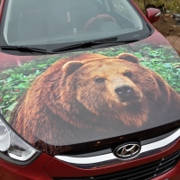 xende_47_20150217_2059894809